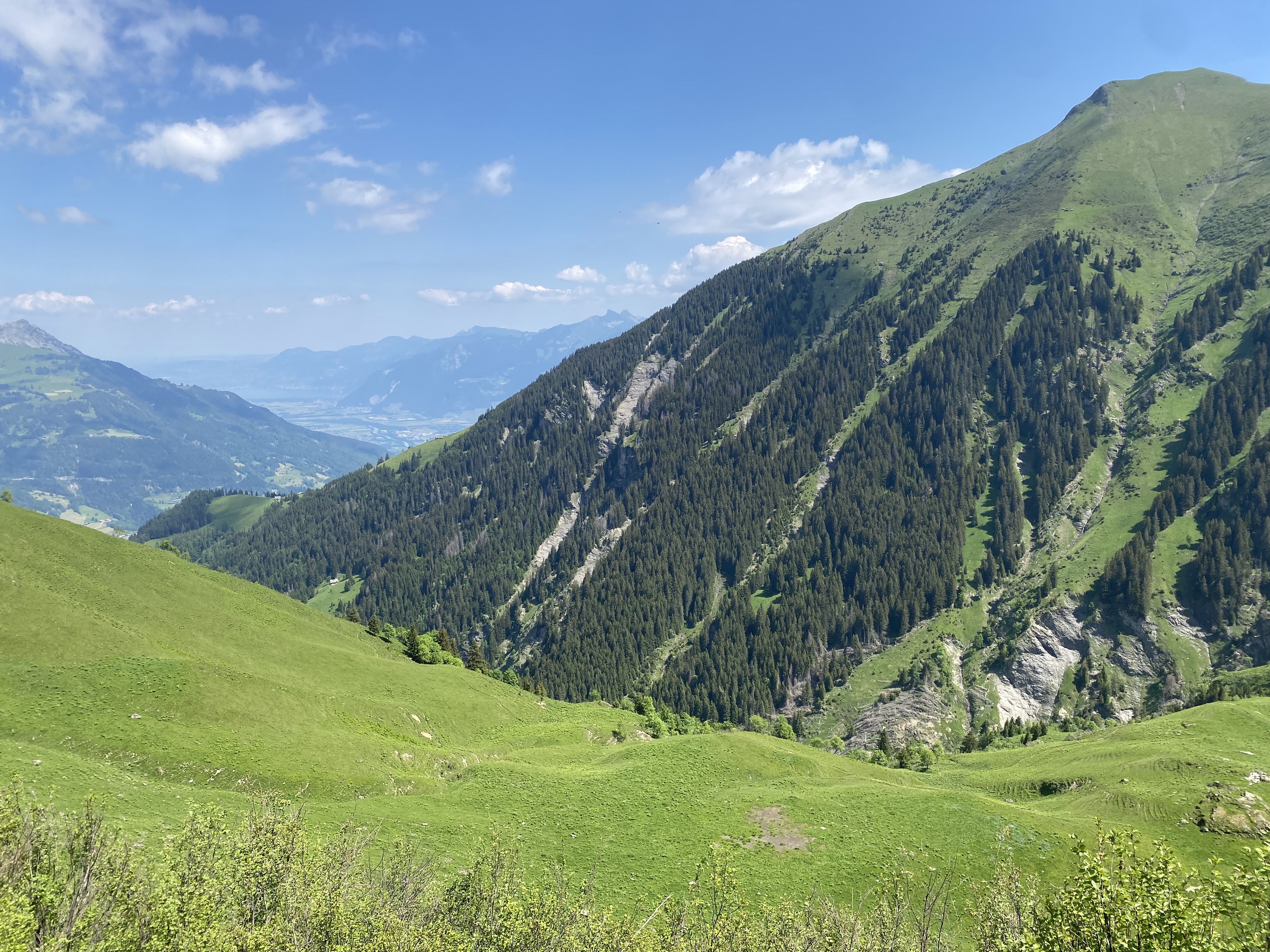 Le vallon de Chalin sera une réserve forestière dès janvier prochain